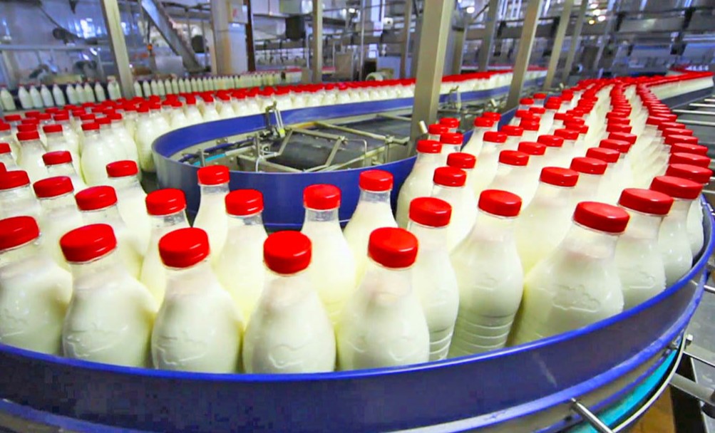 Shoqata e Përpunuesve të Qumështit kërkon unifikim të TVSH: 10 për qind në blerje dhe shitje